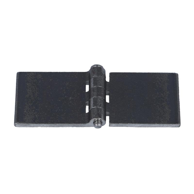 Profilwagentürscharnier (1011.6758) 2 Profilwagentürscharnier (1011.6758) 2