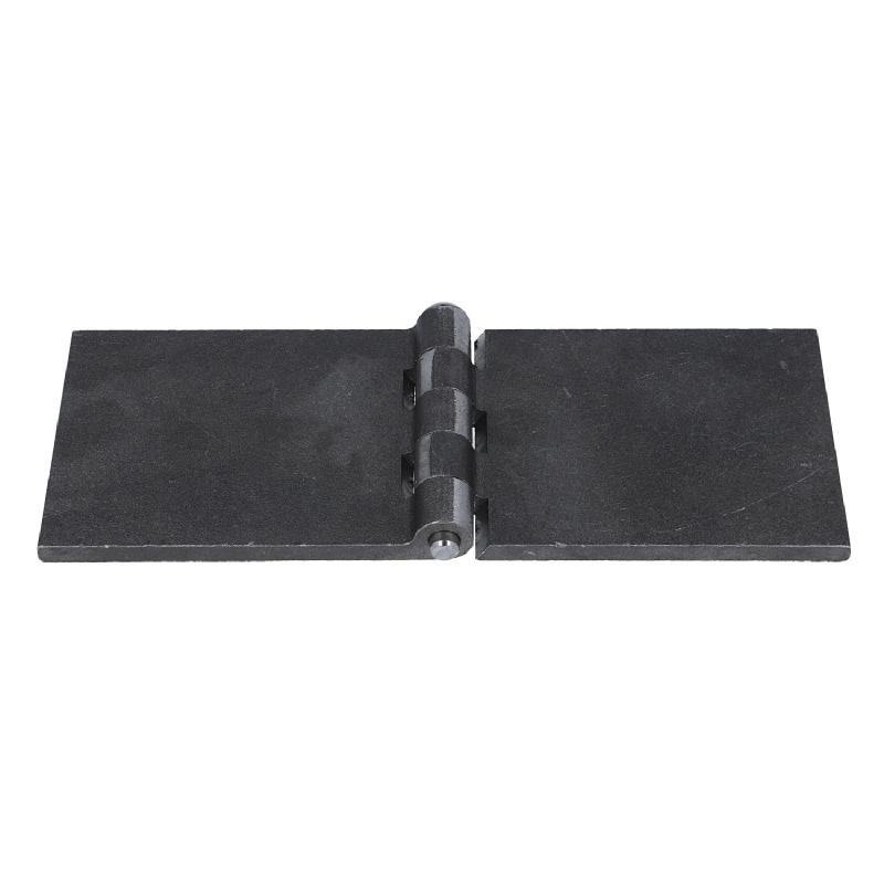 Profilwagentürscharnier (1011.3113) 2 Profilwagentürscharnier (1011.3113) 2