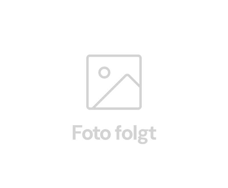 Magnetsystem zum Einklipsen (2064.5341)