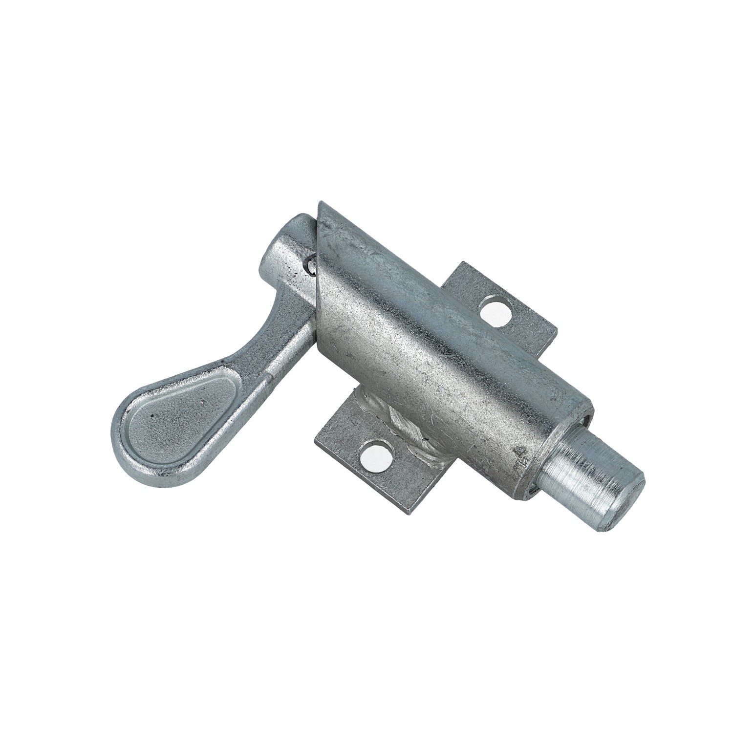 Federriegel (2203.3431)