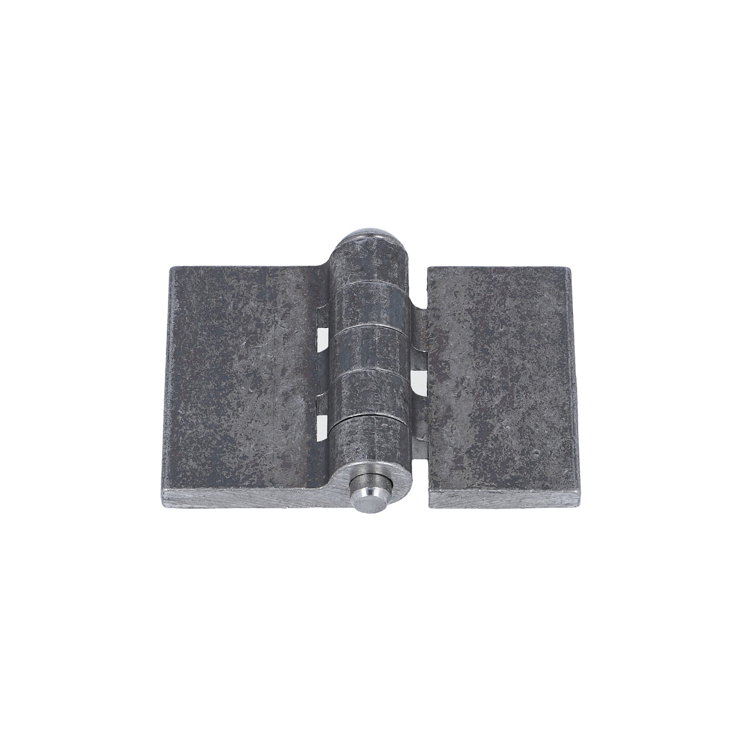 Profilwagentürscharnier (1011.6765) 2 Profilwagentürscharnier (1011.6765) 2