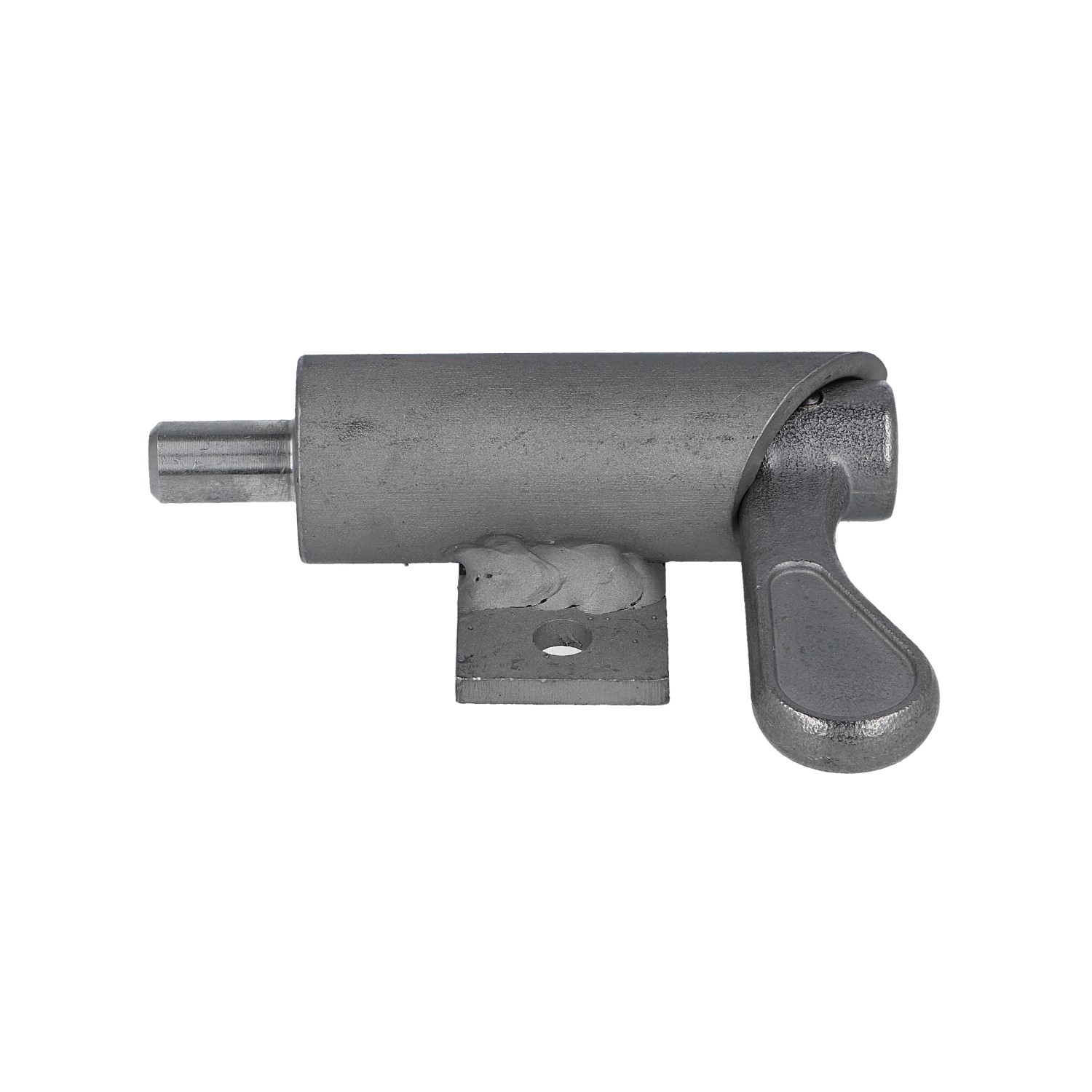 Federriegel (2203.3418) 3