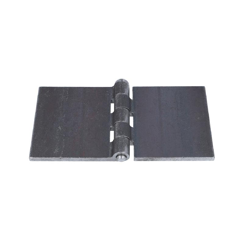 Profilwagentürscharnier (1011.6229) 2 Profilwagentürscharnier (1011.6229) 2