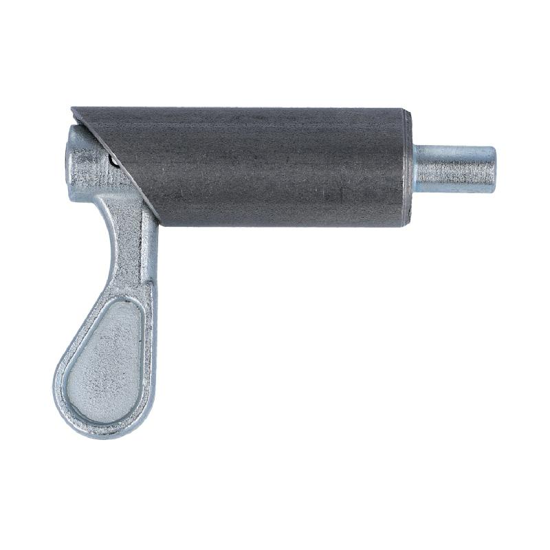 Federriegel (2147.3178)