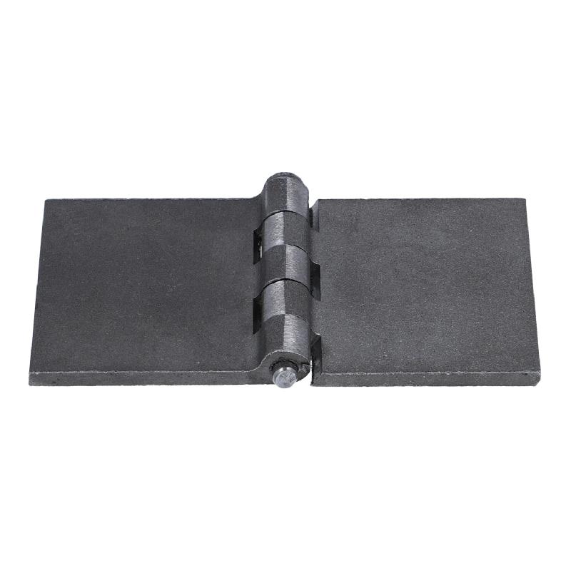 Profilwagentürscharnier (1011.2249) Profilwagentürscharnier (1011.2249)