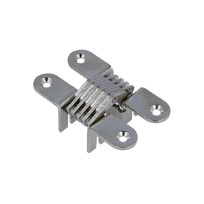 Invisible hinge (1118.5572)
