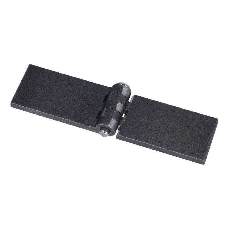 Profilwagentürscharnier (1011.1043) Profilwagentürscharnier (1011.1043)