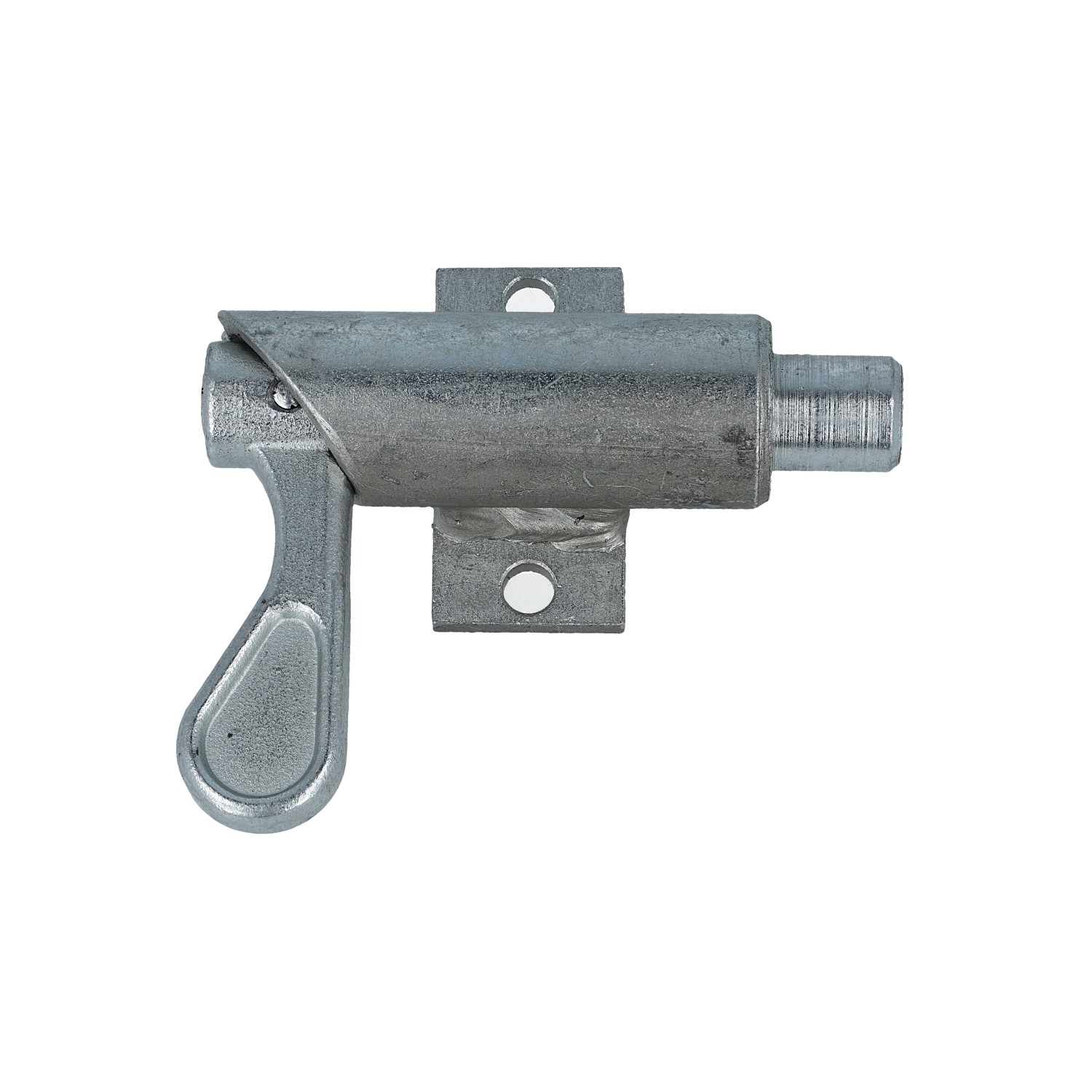 Federriegel (2203.3431) 2