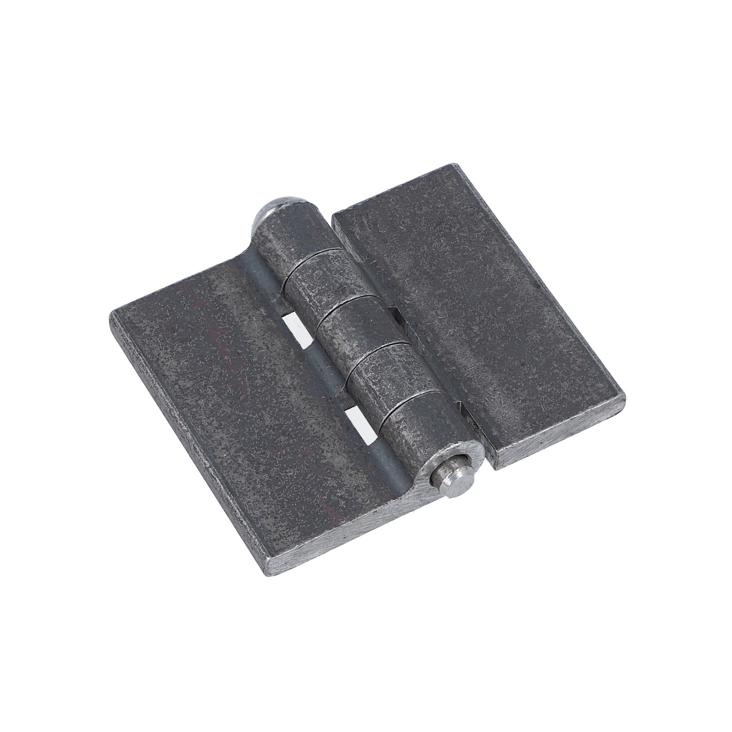 Profilwagentürscharnier (1011.13627) Profilwagentürscharnier (1011.13627)