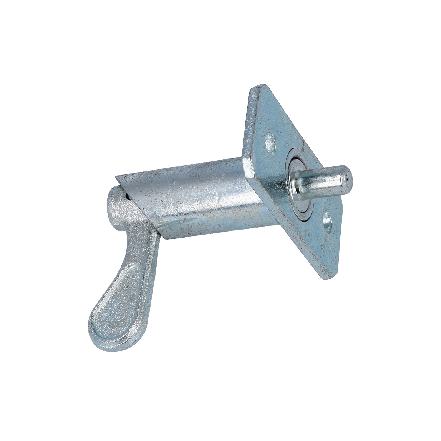 Federriegel (2202.3399) 2