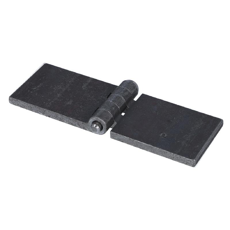 Profilwagentürscharnier (1011.2250) Profilwagentürscharnier (1011.2250)