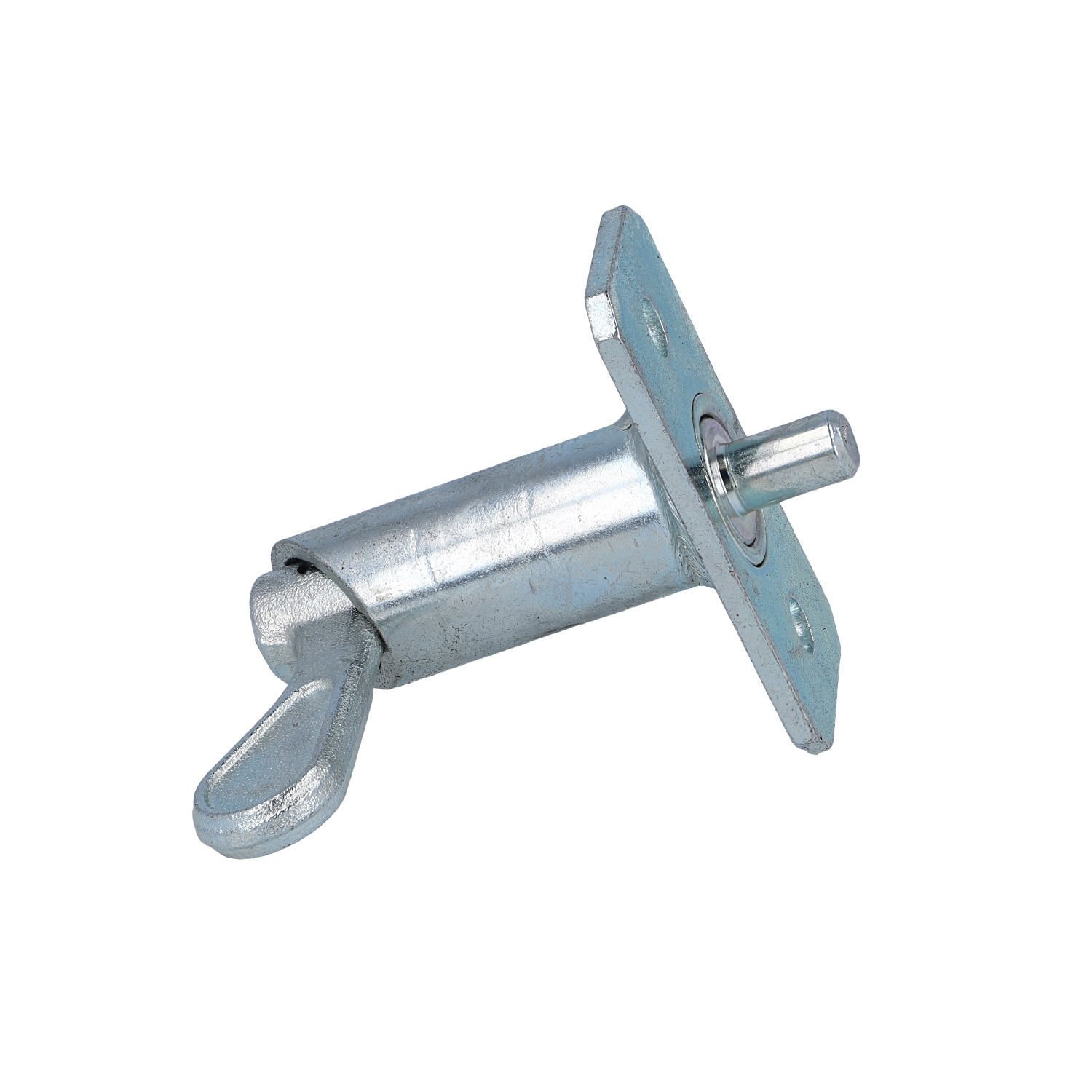 Federriegel (2202.3399) 3